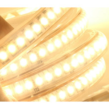 New technology 220V Super Bright White Light/ Warm White 3038 Led Strip Light Outdoor Ip65 Waterproof